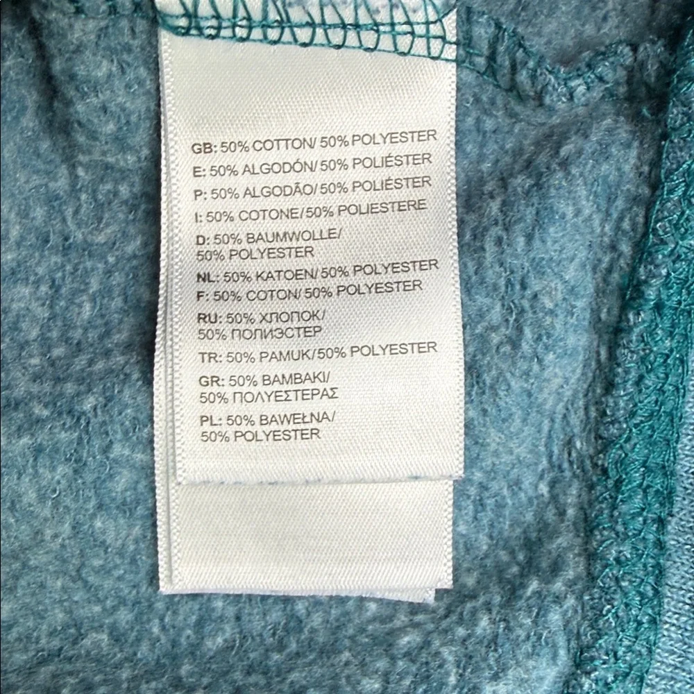 The North Face Men's Hommes Teal Hoodie